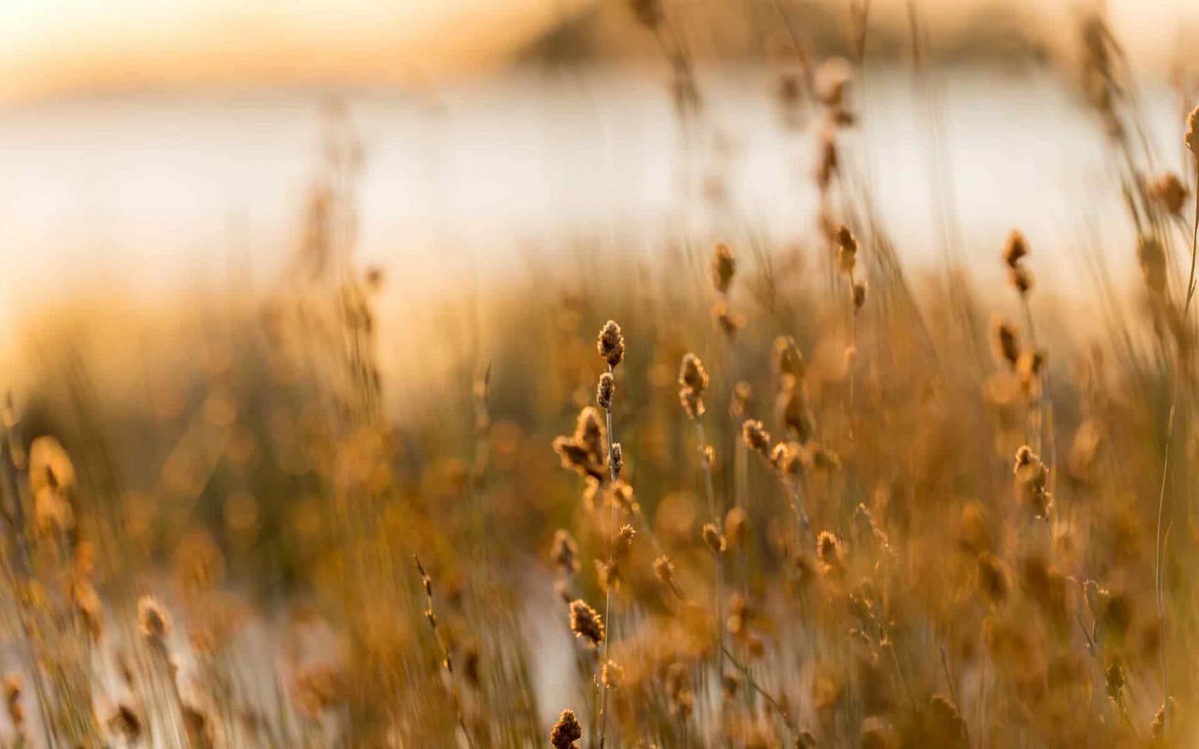 post_03 post_03